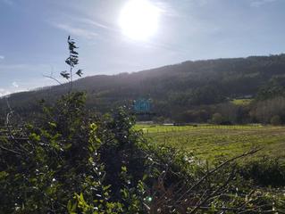 Bauernhof  N/a