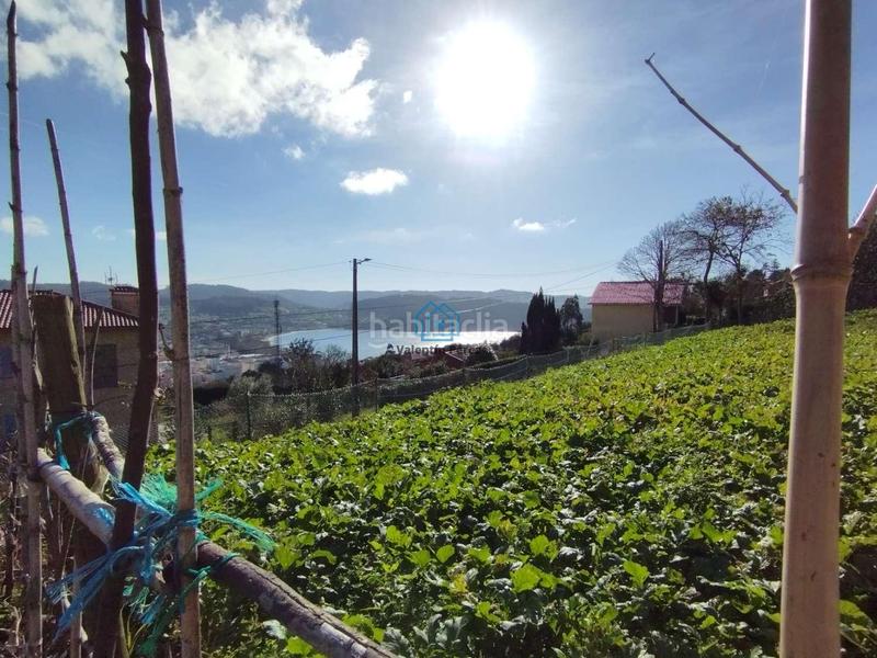 Foto 0d9c7310-fa7c-47ff-8ec9-21a116820137. Terrain résidentiel dans Cedeira