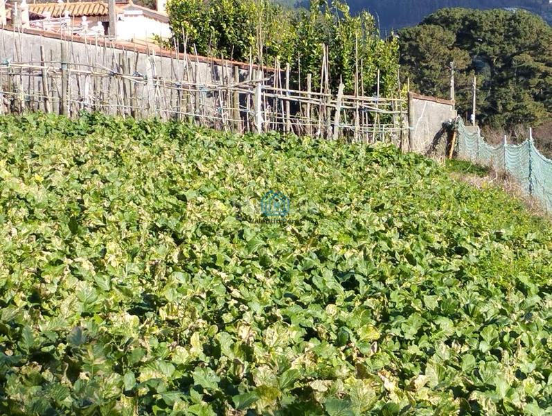 Foto 62e5f0df-fc2f-4843-8c67-572483529c00. Terrain résidentiel dans Cedeira