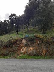 Terreny residencial  Rúa nova e campo