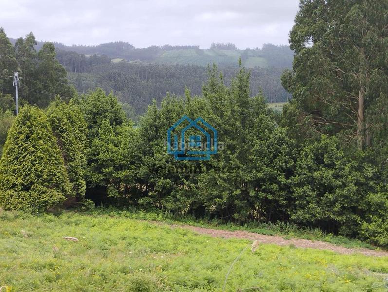 Foto 075c73c9-a3ef-4d16-85b3-cd7164f2766c. Casa en Cerdido