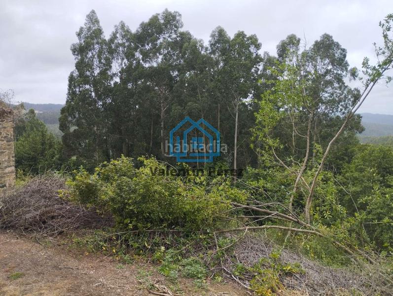 Foto 9906e797-a0af-44cf-ac9d-1160c8c7d687. Casa en Cerdido