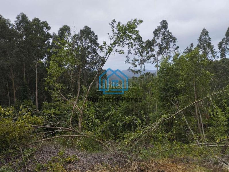 Foto e82405f2-388a-4114-8415-2749ce086a38. Casa en Cerdido