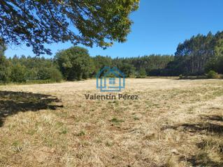 Residential Plot in Begonte