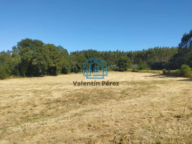 Foto 051ba26a-e8aa-4e21-99a5-d5deeb0a893e. Terreno residenziale in Begonte