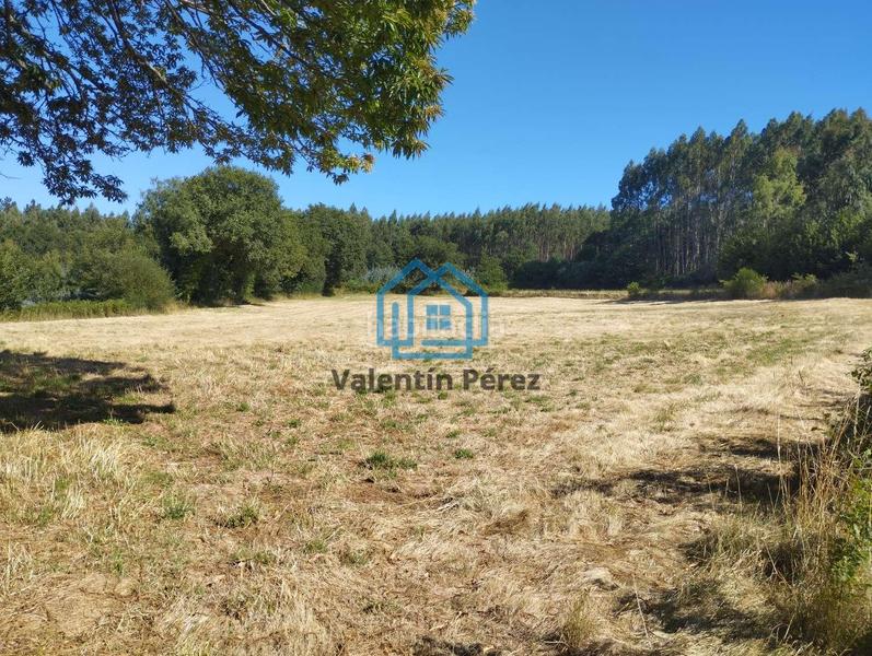 Foto 79983f8c-631e-4ba1-8a1c-3c8f5c434e89. Terreno residenziale in Begonte