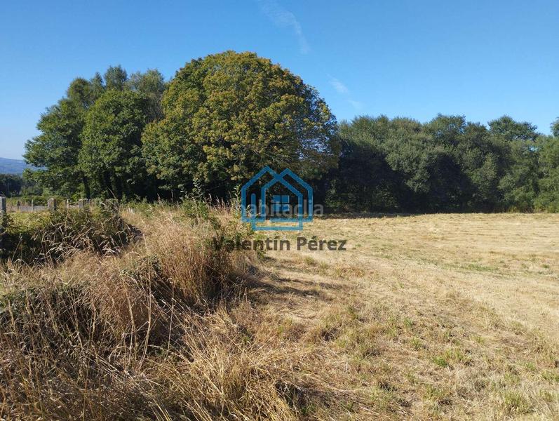 Foto 9e865d72-6603-4874-9471-11f3a3ea443e. Terreno residenziale in Begonte