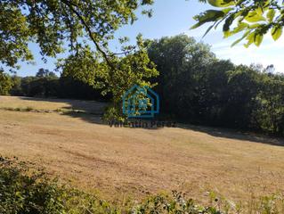 Residential Plot in Begonte