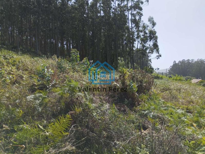 Foto 1f1b0380-d934-4a16-9a7f-4700c358c2ed. Terreno residencial en Valdoviño