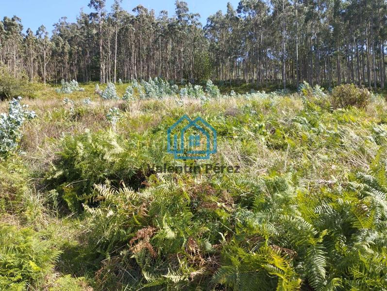 Foto 2393a2f2-02e4-460a-a391-25c4e350feaa. Terreno residencial en Valdoviño