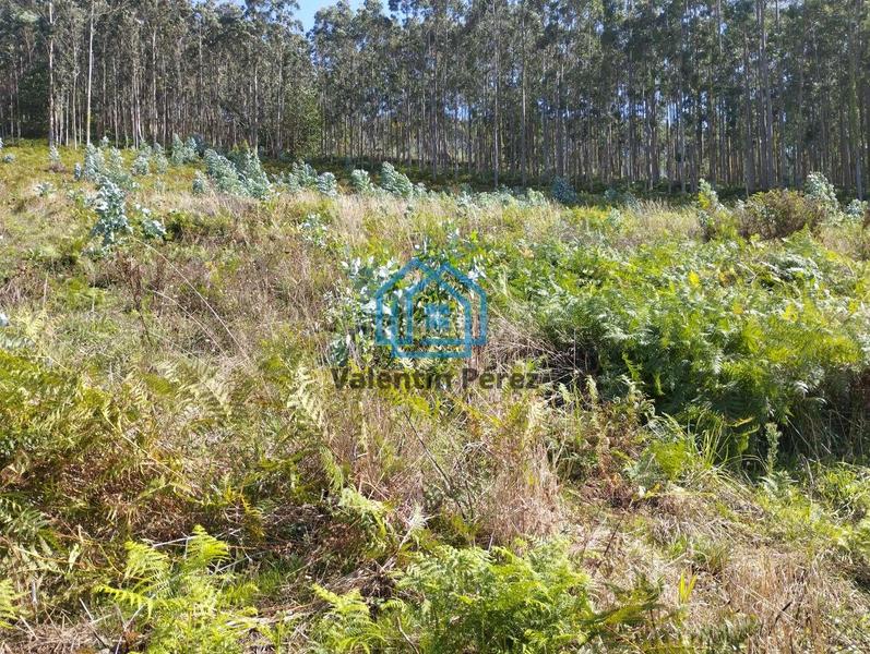 Foto 3536ad48-2215-4510-8745-c293b2614fca. Terreno residencial en Valdoviño