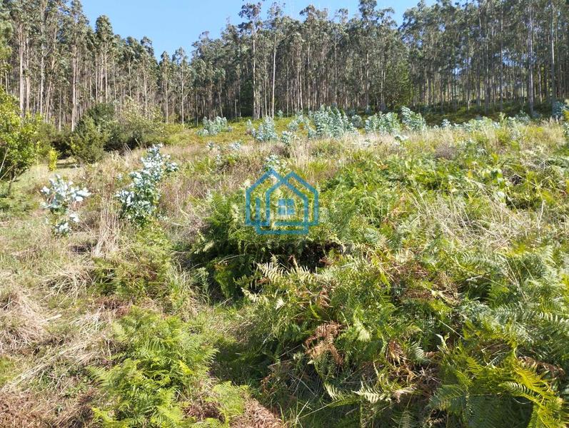 Foto c94e4247-bb3d-496b-a9f5-2f71fda1c599. Terreno residencial en Valdoviño