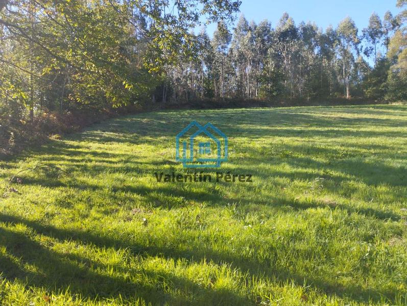 Foto b63cd4b0-b3c4-4ee5-994b-d3360e6dda60. Casa a San Sadurniño