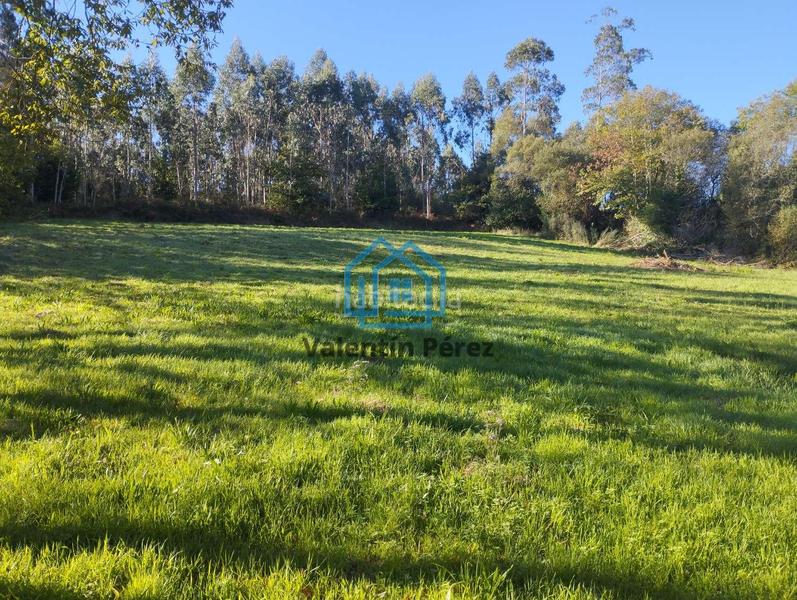 Foto 27242378-04fb-4c17-8abb-e810f0946e4f. House in San Sadurniño