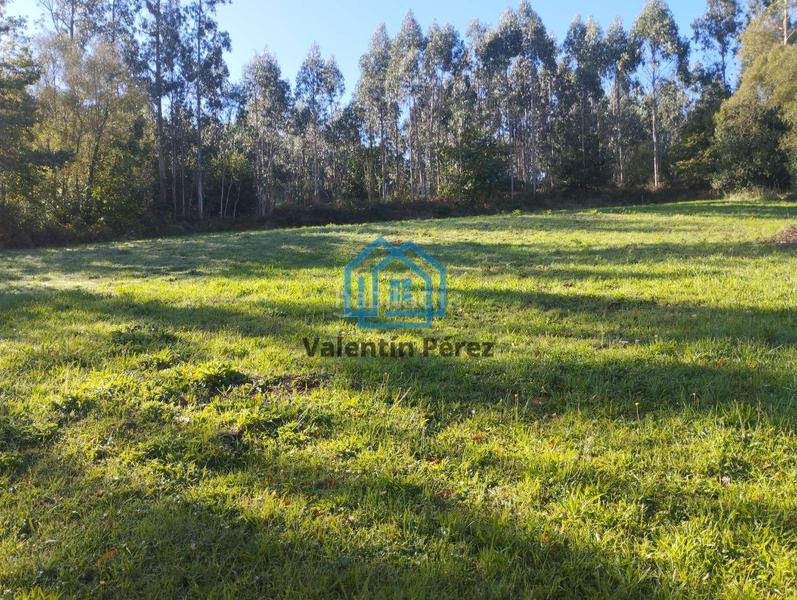 Foto 4d232abe-2424-4198-9ce7-9fcf09f97d25. House in San Sadurniño