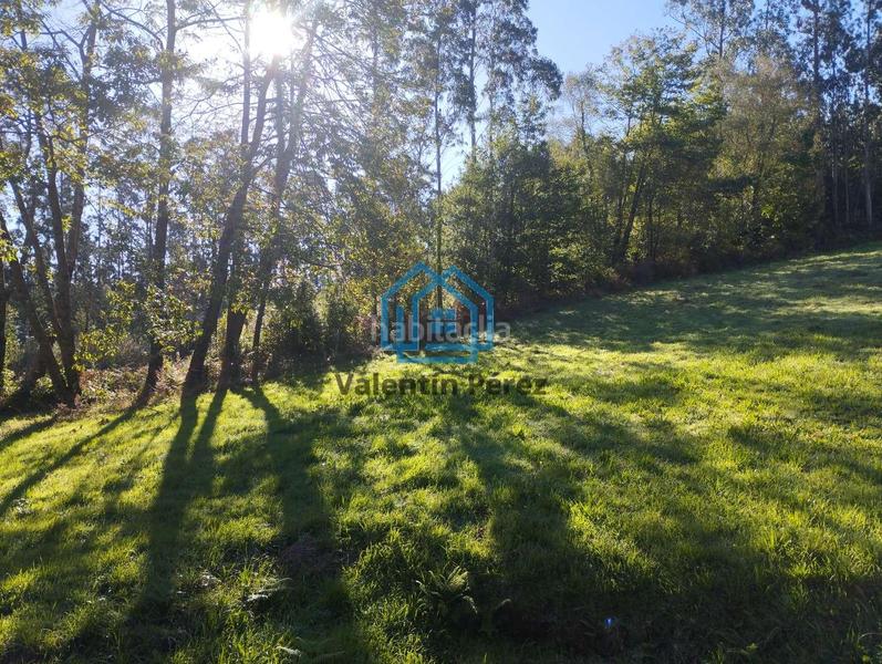 Foto 82b8e7fc-789c-4b7f-b5fd-0ecc332fad8d. House in San Sadurniño