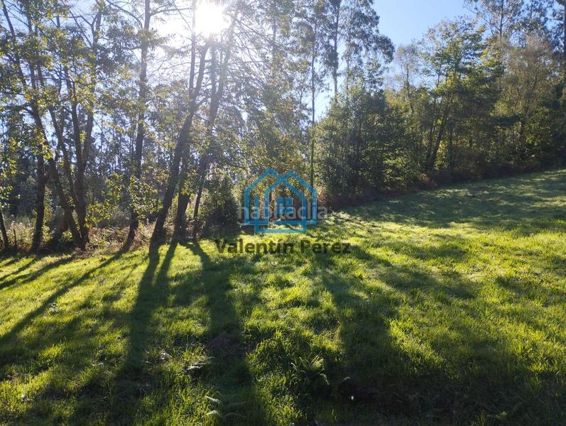 Foto e6ea925d-19c1-4fee-9017-6d25da11e94c. House in San Sadurniño