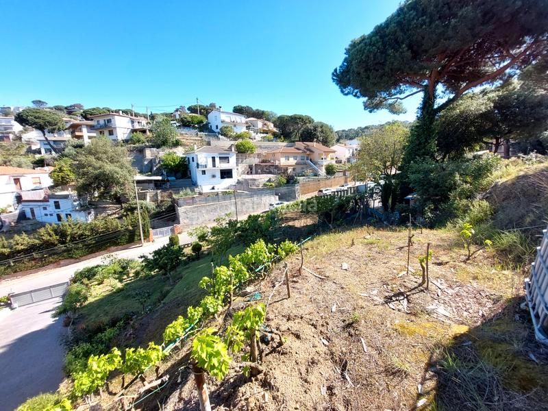 Foto 07bcd5f2-9ce3-4623-b79a-621090d77c13. Terreny residencial a Canyamars Dosrius