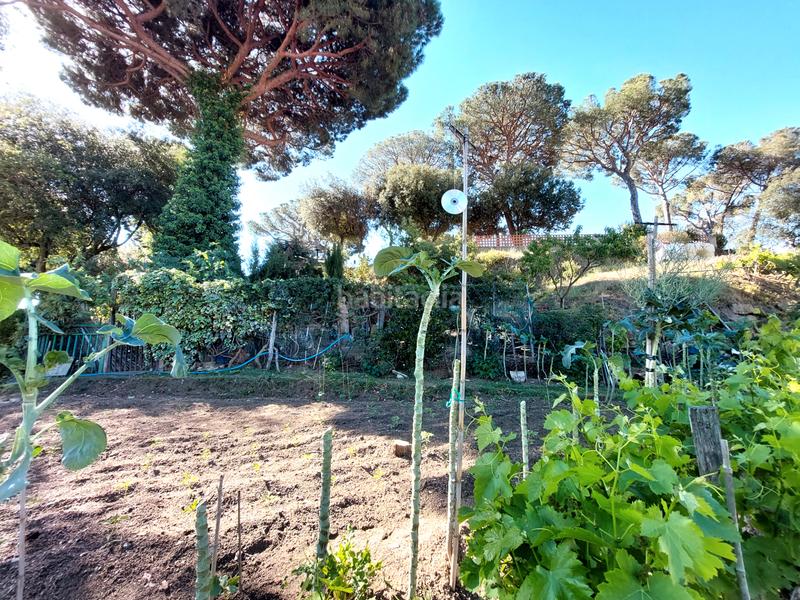 Foto 988d7809-154a-4d6c-9ded-c28b80692856. Terreny residencial a Canyamars Dosrius