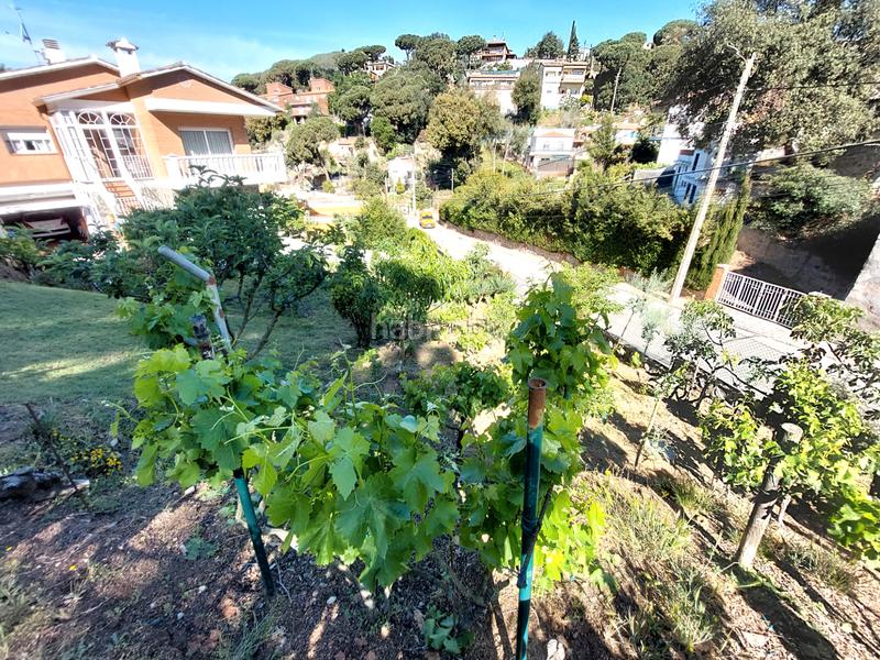 Foto a3577dc5-01be-4eba-9f6b-01503d80719f. Terreny residencial a Canyamars Dosrius