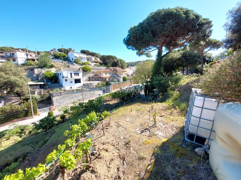 Foto d5c6625f-46d7-47f4-a036-8c644ffc8152. Terreny residencial a Canyamars Dosrius