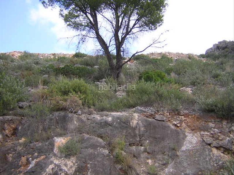 Foto 4a554296-a0ba-4da0-925c-a53a3de2f60c. Terreno residencial en calle amapolas 266 en Pego