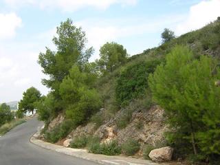 Residential Plot in Calle amapolas 266