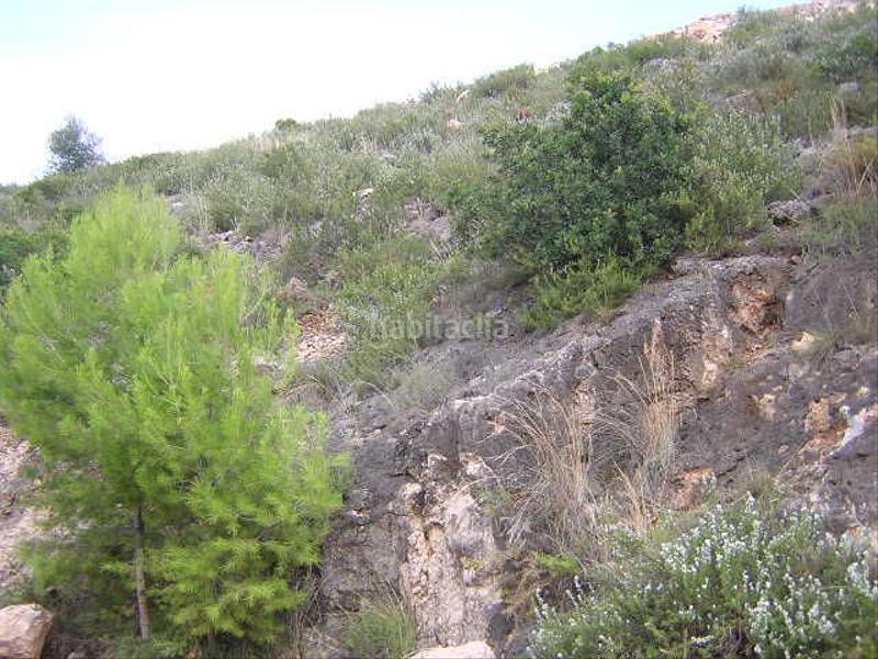 Foto c79b24a6-4967-4a78-9ce7-caebae3a07f0. Terreno residenziale in calle amapolas 266 in Pego