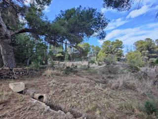 Rural plot in Calle pintor rembrandt 17