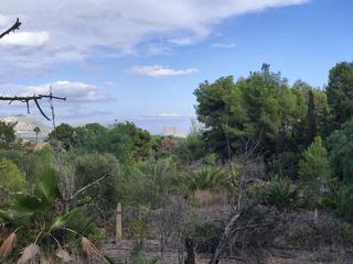 Rural plot in Calle pintor rembrandt 19
