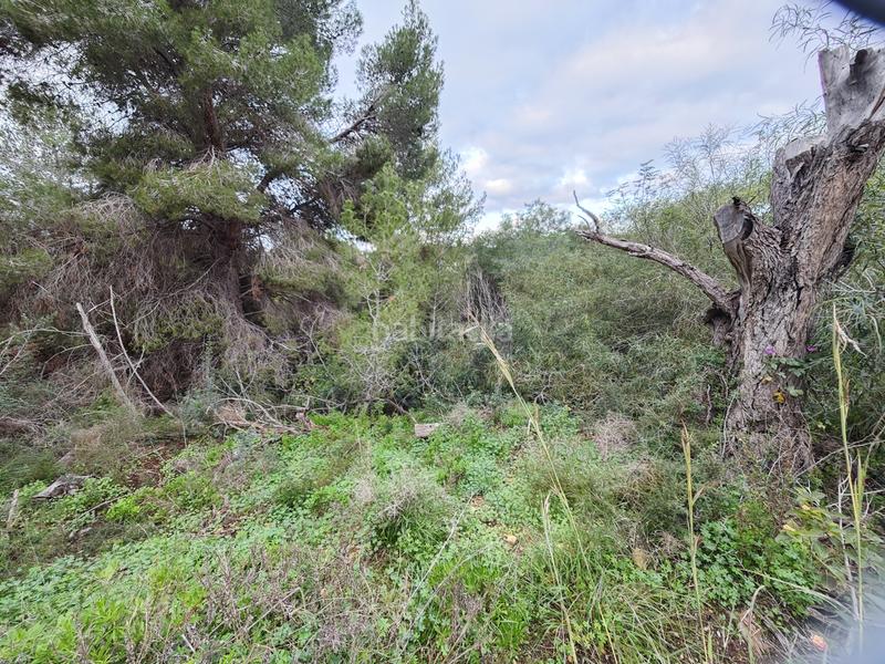 Foto 290483ec-cc87-40a4-b817-13e517063dc7. Terreny residencial a carrer la morena 24 a Cala Advocat-Baladrar Benissa