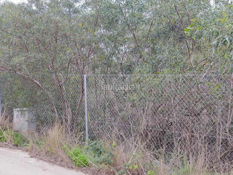 Foto 37d5bbf4-b117-403a-8109-33f9287b6055. Terreny residencial a carrer la morena 24 a Cala Advocat-Baladrar Benissa