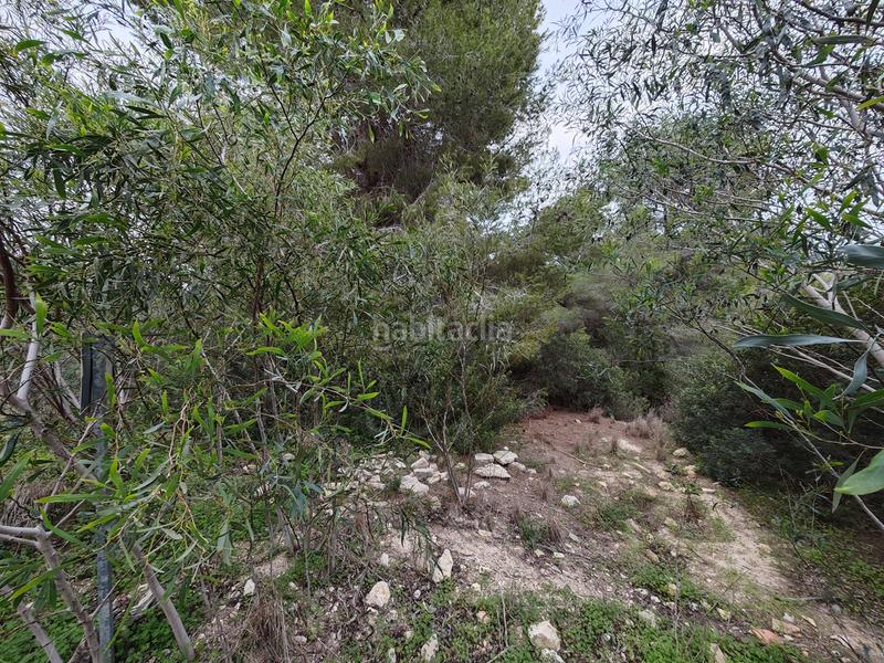 Foto 73b312bc-c7d4-423f-bd01-7e6b7539fd73. Terreny residencial a carrer la morena 24 a Cala Advocat-Baladrar Benissa