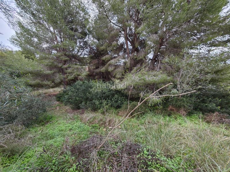 Foto 7eb20f3f-4676-4645-99fa-47f7aadd043a. Terreny residencial a carrer la morena 24 a Cala Advocat-Baladrar Benissa