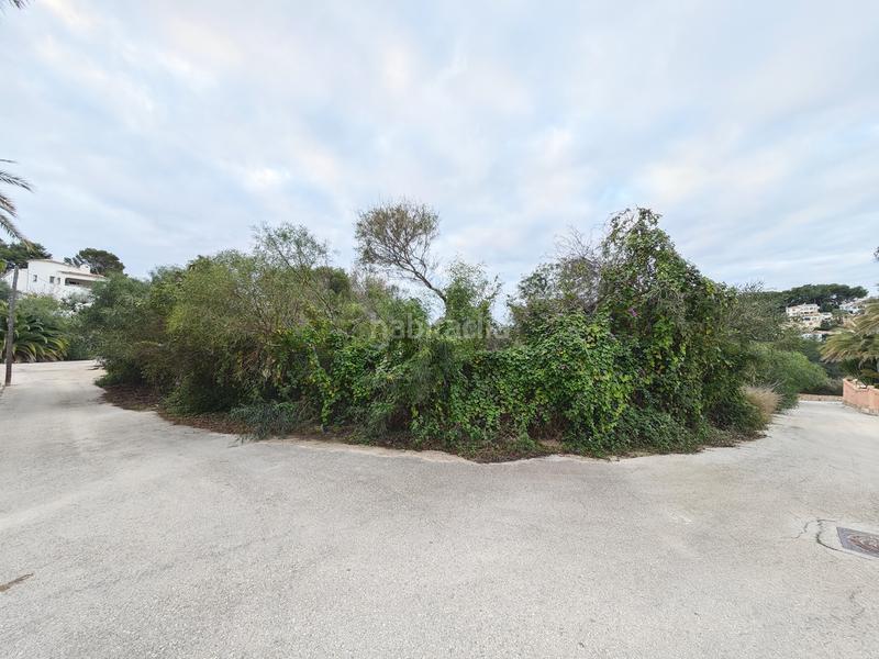 Foto b38f5be1-5842-481d-bddd-1b7ec880d6e5. Terreny residencial a carrer la morena 24 a Cala Advocat-Baladrar Benissa