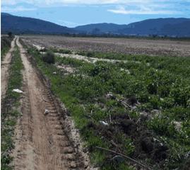 Finca rústica  N/a