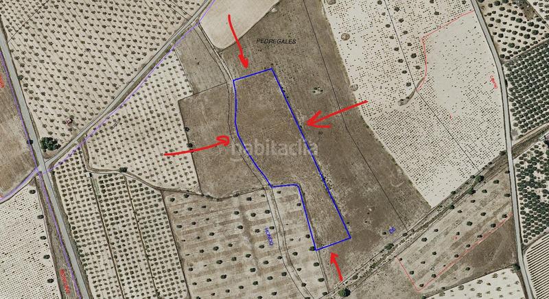 Foto 7c3c7ba6-0f72-4a77-9f76-5354e4b79ba4. Landgut in Salinas