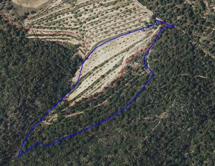 Landgut in Cv-657 7