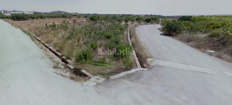 Foto 408c103a-850e-42c1-96b3-b92fef2cd3a5. Finca rústica en Alfarp