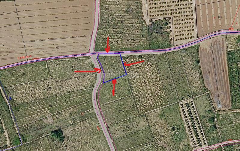 Foto 685a1eec-5021-422c-a4a5-ae306149d641. Finca rústica en Alfarp