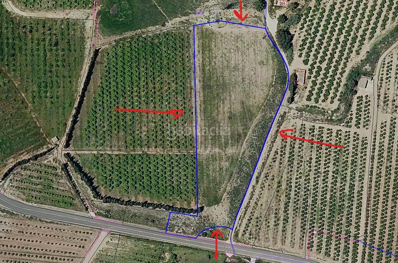 Foto 708e1ef1-4885-4bea-9cb7-37fa4c921073. Landgut in Llombai