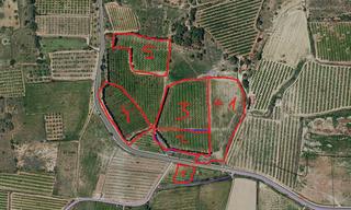 Rural plot in Carrer penyes roges 4
