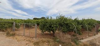 Finca rústica a Polígono diseminados 140