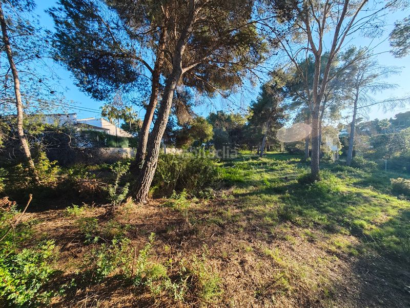 Foto 4dbbc84f-c837-4887-95c0-60cf34de784a. Residential plot in partida cm cap marti 483 in Cap Martí - El Tossalet - Pinomar Xàbia