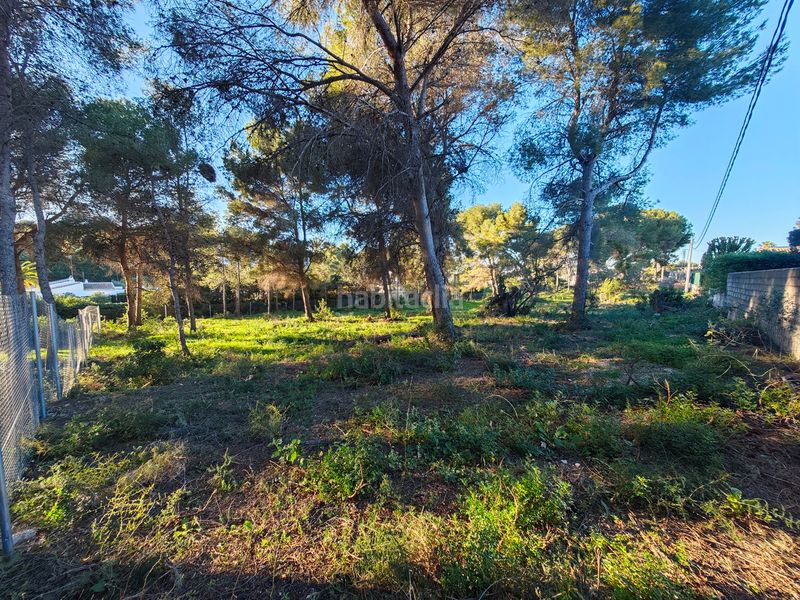 Foto fabc1fe6-a789-4beb-8e80-5428833dfd9c. Residential plot in partida cm cap marti 483 in Cap Martí - El Tossalet - Pinomar Xàbia