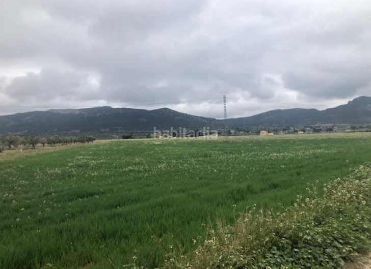 Foto 5769e67f-8bc7-4701-9c47-29358713e654. Finca rústica a n/a a San Francisco Villena