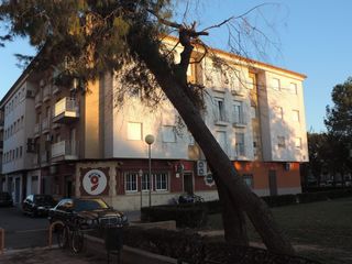 Flat in Calle amparo santamans 13