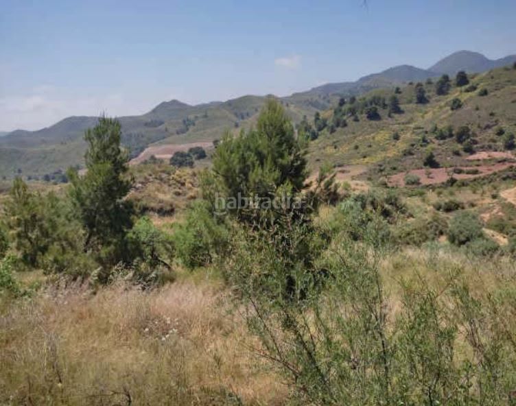 Foto 4ad7e7b9-5ddd-4a2f-b6a2-2374f82a7c49. Finca rústica a n/a a Puntarrón Lorca