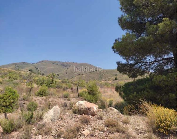 Foto b989cb32-1462-4be9-b1f9-1579833b52d7. Finca rústica a n/a a Puntarrón Lorca