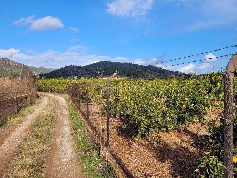 Foto 3b6b9c2a-514c-48b2-b72d-e231f889885e. Finca rústica a plaça poligono 28 44 a La Loma-Las Lomas Náquera